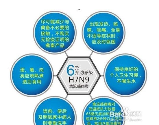 四会最新病例深度解析