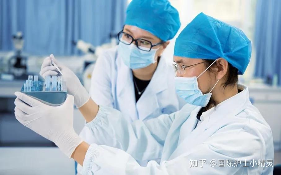 英科最新招工动态与行业趋势解析