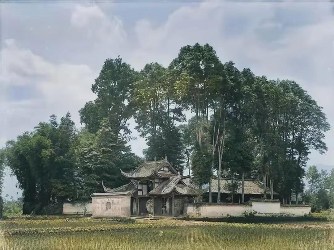 青城山，自然美景与文化传承的交融之地
