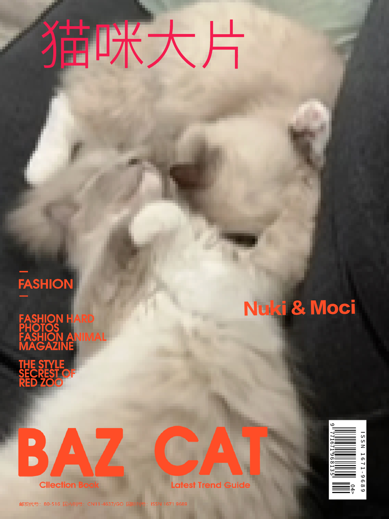 猫片最新网站，探索猫咪世界的无限魅力之旅