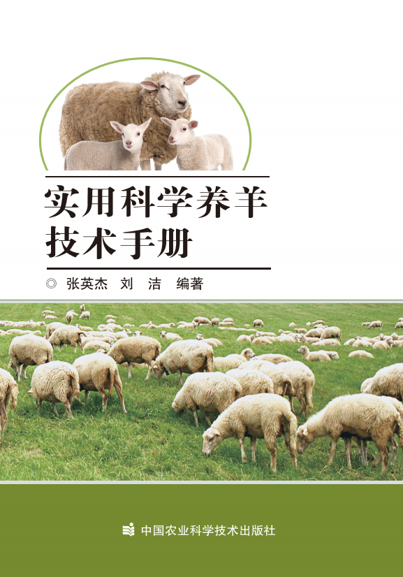 最新科学养羊技术与实践探讨