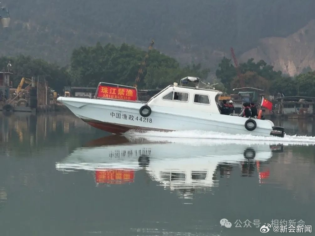 全球水域生态平衡重塑，最新禁渔动态揭秘