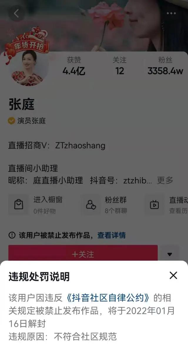抖音解封最新动态，原因探究与未来展望