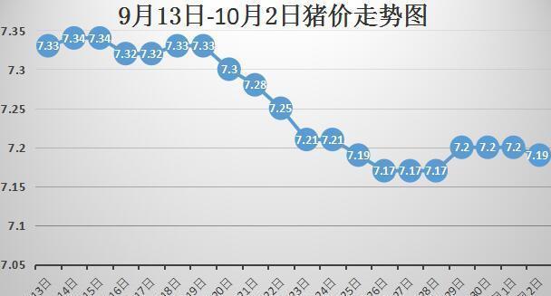 最新猪价行情与毛猪市场走势深度解析