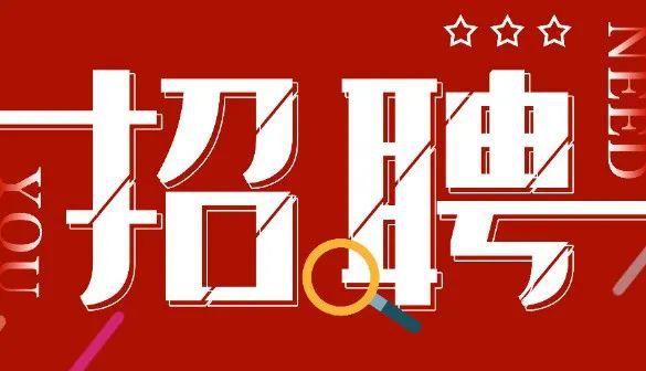 廊坊最新招聘动态与求职指南速递