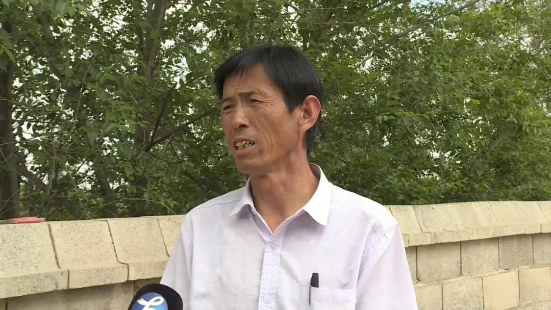 羊塬村最新动态，乡村振兴与社区发展的步伐推进中