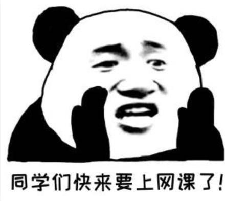 网课最新动态，数字化转型重塑教育生态