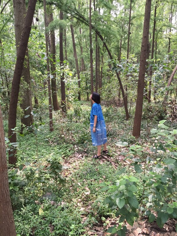 二人森林探险揭秘未知奥秘
