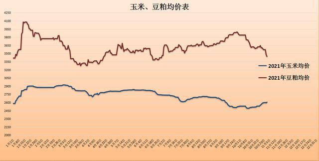 今日豆粕价格预测，市场分析、趋势展望及影响因素深度探讨