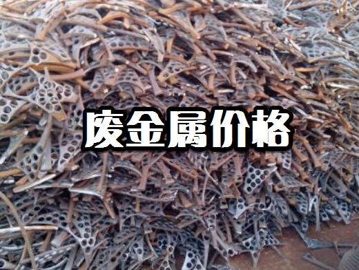 广东佛山废铁最新报价动态与行情分析