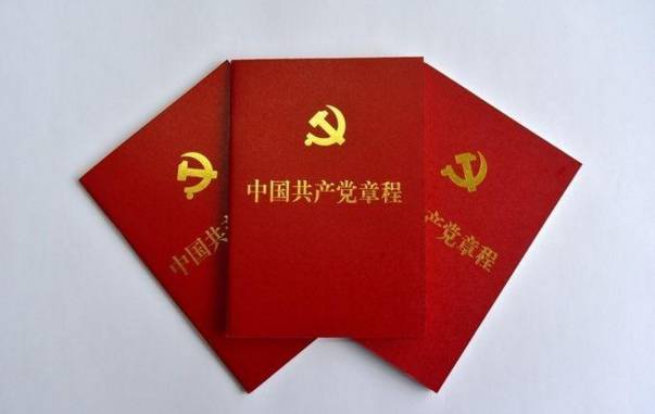 新时代党的建设指引，最新党章2025展望
