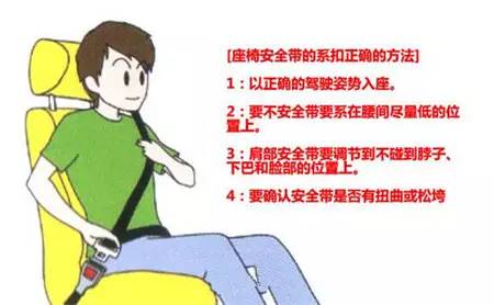 最新安全带的重要性及其应用解析