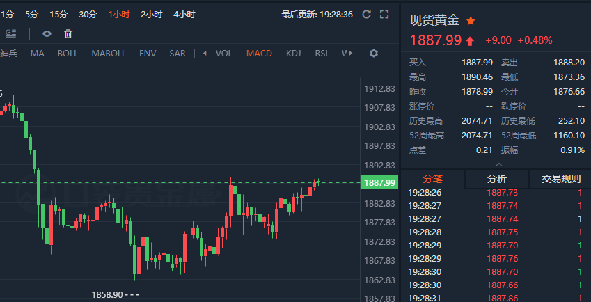 白银TD最新动态，市场波动及未来展望