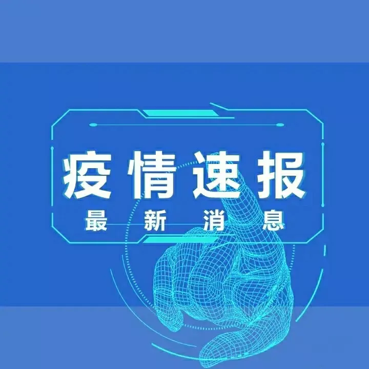 情感最新动态揭秘，探索情感世界的微妙变迁