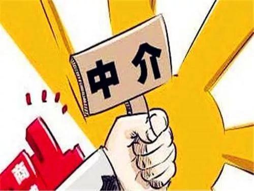 问冰心 第2页