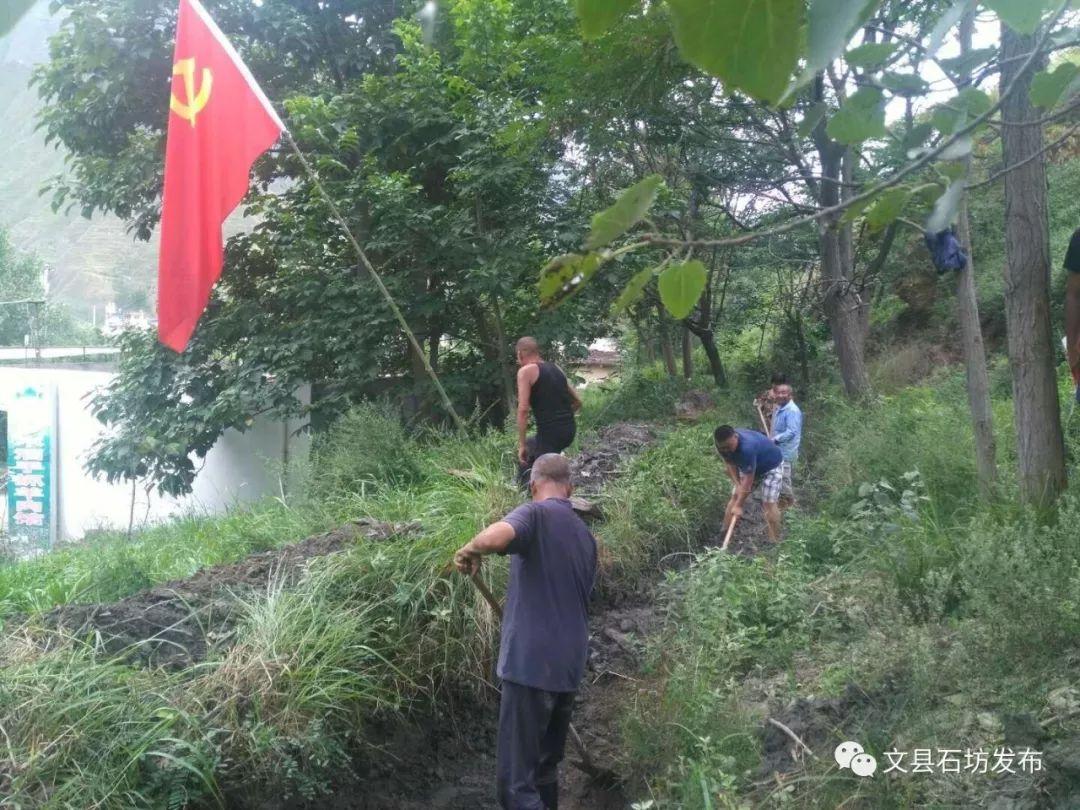 文县灾情最新情况报告，实时更新与概述