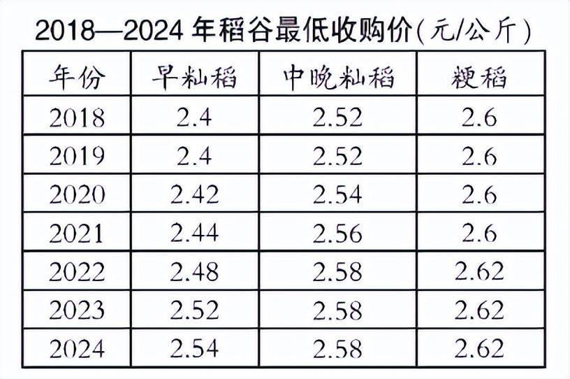 中国水稻最新价格动态与影响因素分析