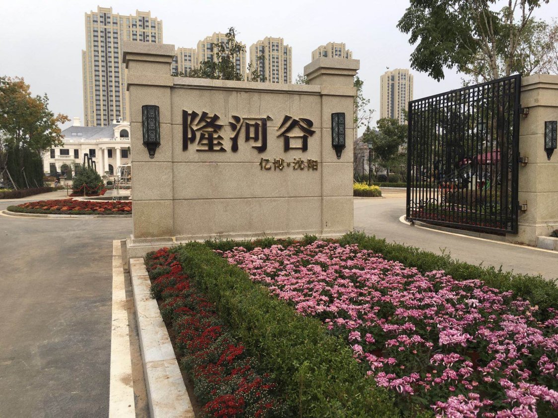 隆河谷最新房价动态及市场走势详解，购房指南与趋势分析