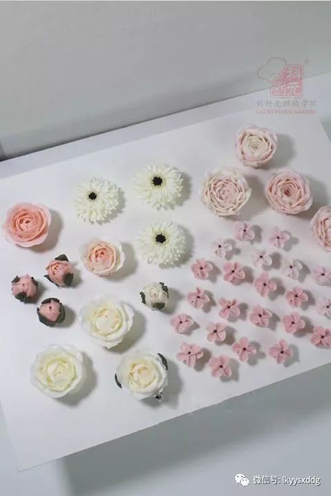 最新式裱花间，极致烘焙艺术体验空间