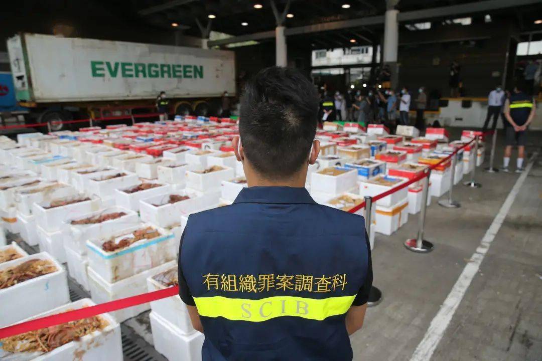 疫情背景下香港海关的最新动态与面临的挑战