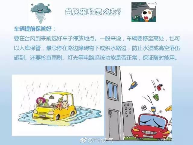 最新台风来袭，安全应对与防范必备知识