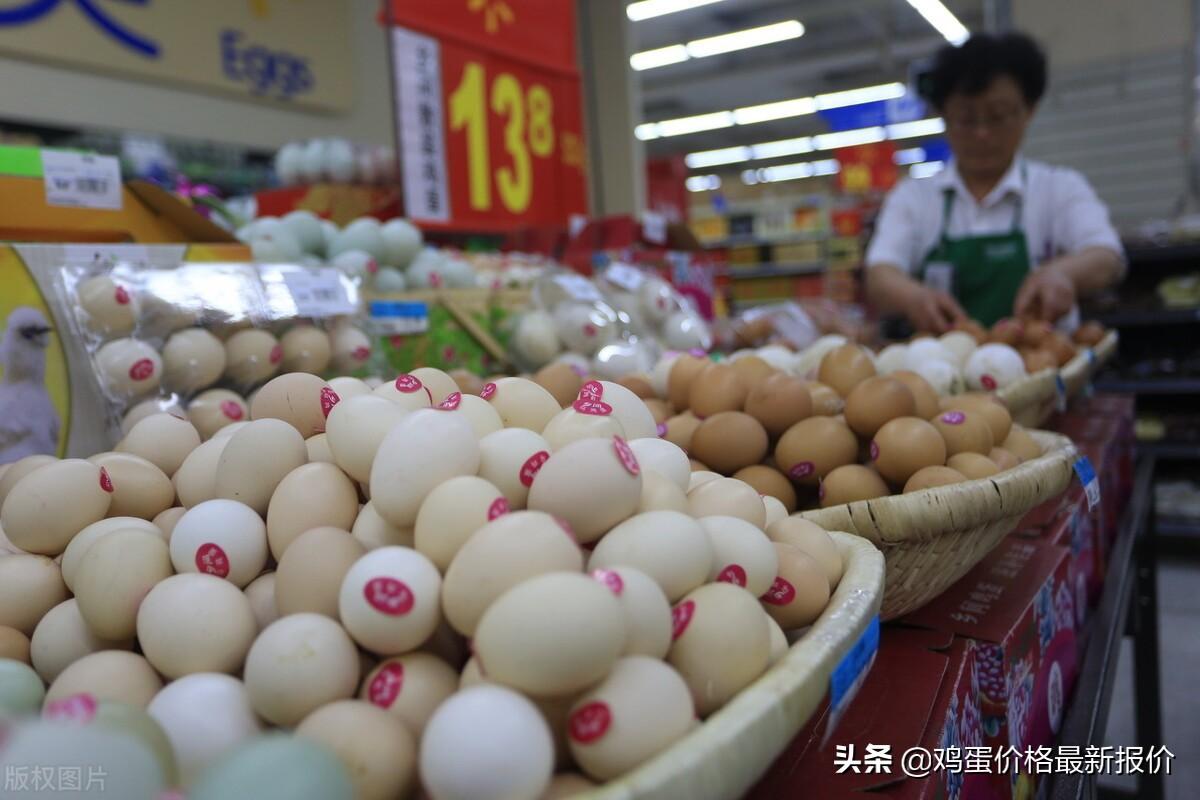 全国鸡蛋最新价格走势分析