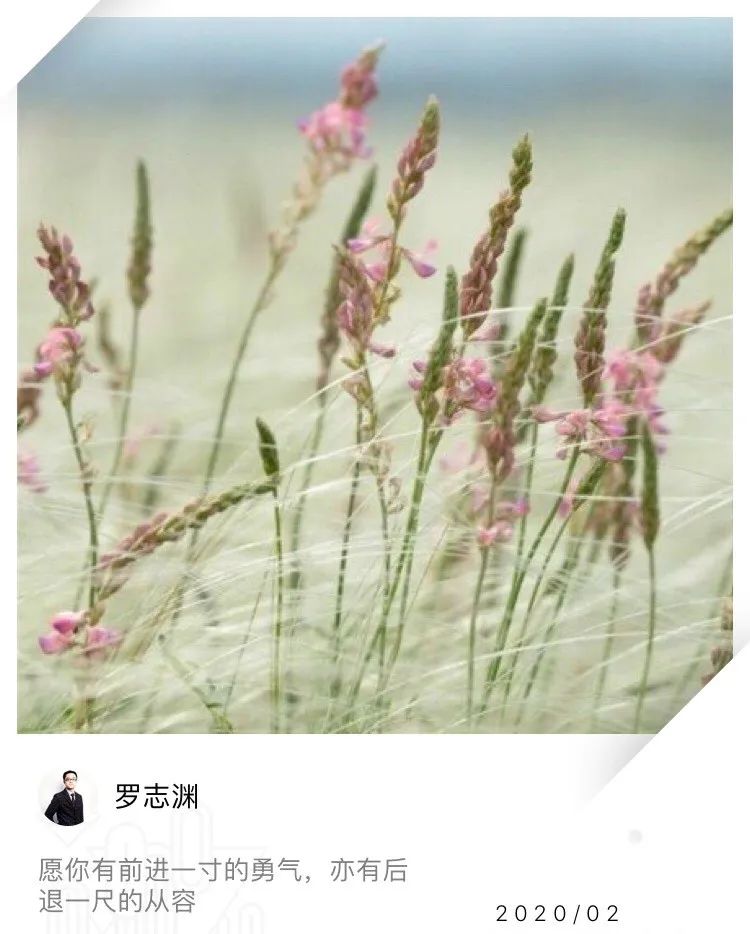 蒿向露 第2页