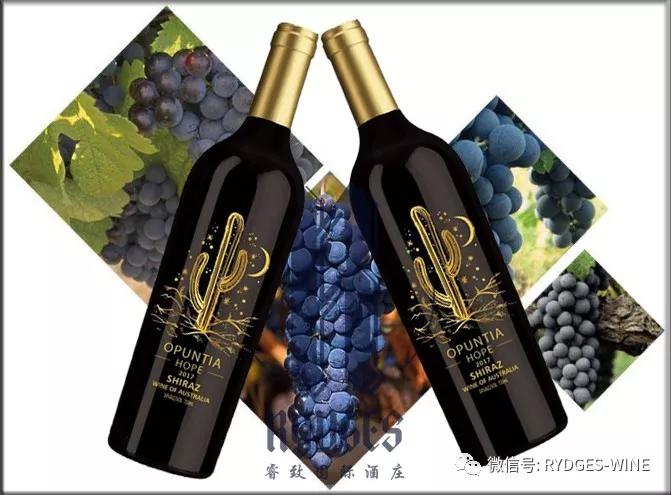 木桶酒庄新酒标展现品质与独特性的卓越融合