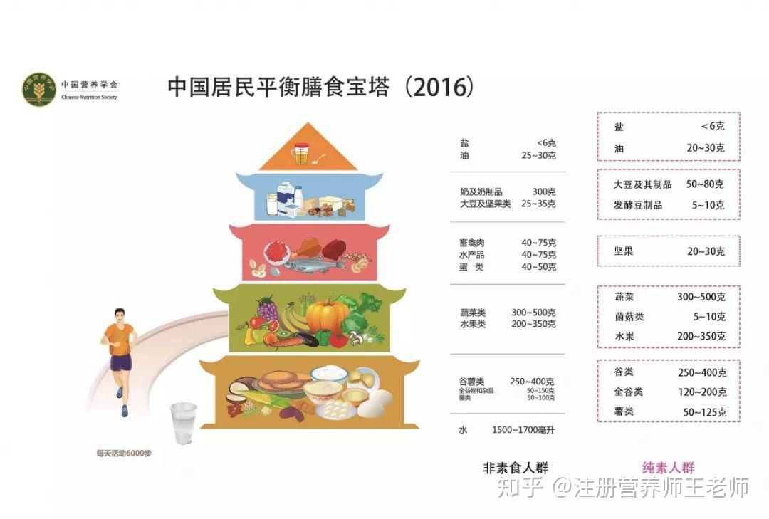 最新营养膳食建议，构建健康生活的核心要素