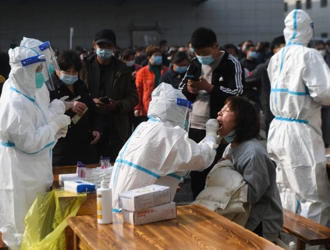 杭州疫情最新发布动态深度解析