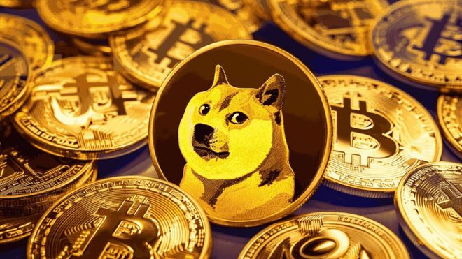 狗狗币国际最新价格动态解析与趋势分析