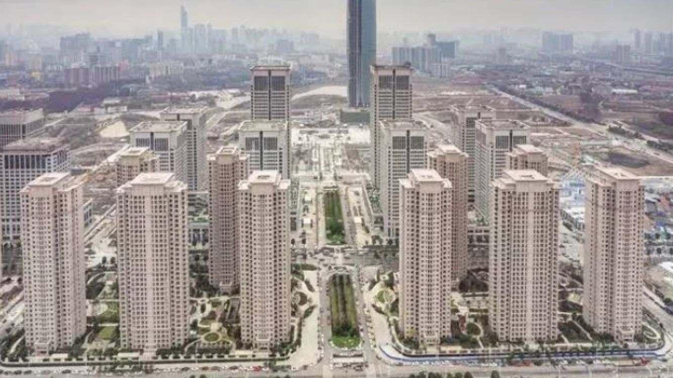 阳逻最新事件深度解析与全方位解读