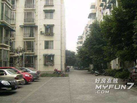 成都新津最新房价走势与市场趋势深度解析