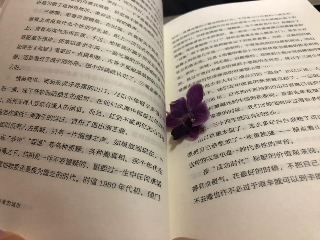 蝴蝶兰最新书籍，自然之美与人文情感的交融世界探索
