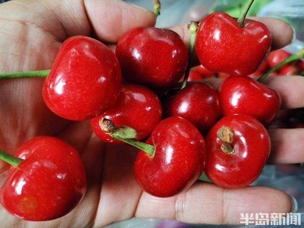 成人高校 第87页