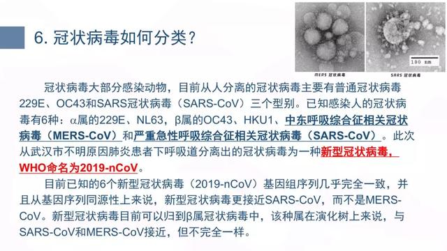 全球科研合作助力冠状病毒疫苗研发取得突破性进展