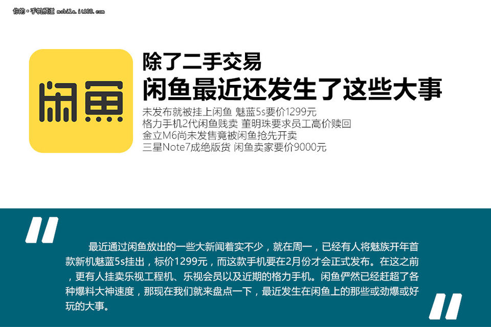 闲鱼网最新事件深度剖析