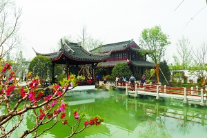 杭州新景观探秘，城市魅力的新篇章