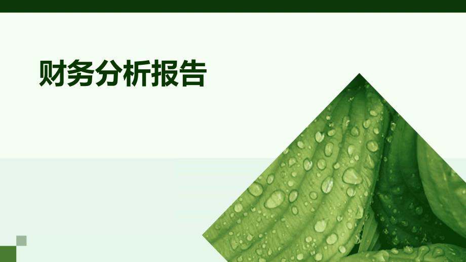 最新财务管理深度解析