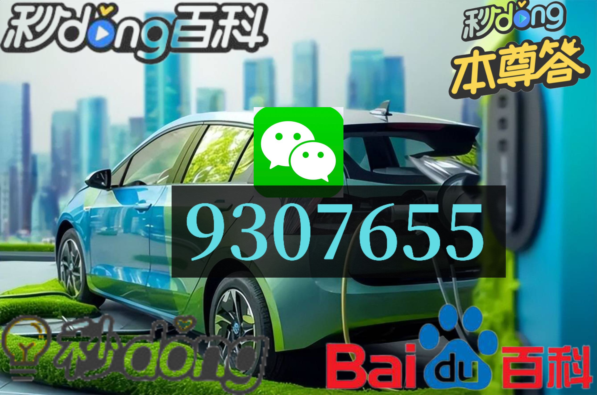 微信赛车群动态更新与趋势解析