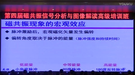 互联网时代的影视新纪元探索，最新网站理论片揭秘新趋势