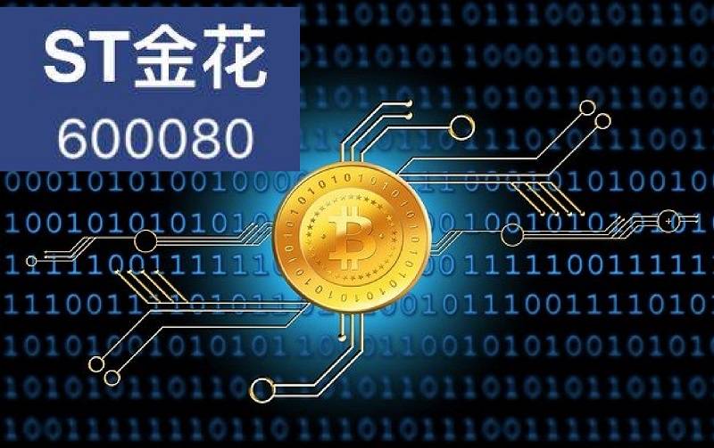金花未来揭秘，最新动态揭示无限可能