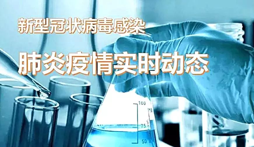 全球新冠肺炎最新动态及应对策略探讨，疫情进展与防控措施分析