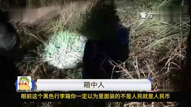 琴瑶 第2页
