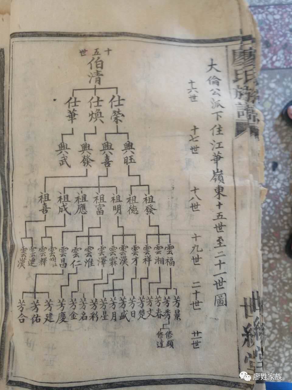 最新廖氏族谱揭秘，廖氏家族历史脉络与文化传承的探寻之旅