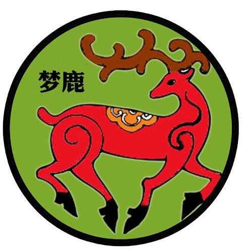 梦鹿最新官网，前沿探索与体验的无界之地