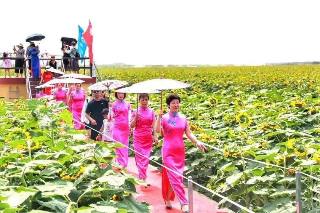 七大最新活动引领潮流，激发无限潜能
