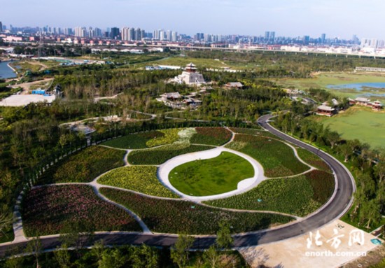 天津湿地公园重塑生态与休闲空间规划揭秘