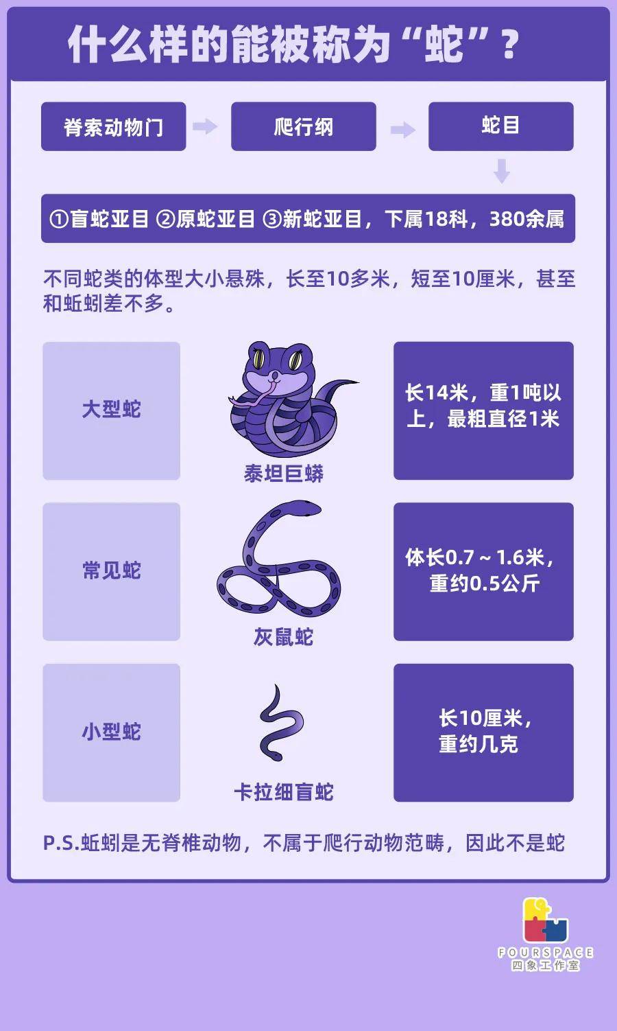 蛇信子，揭秘自然界的神秘魅力