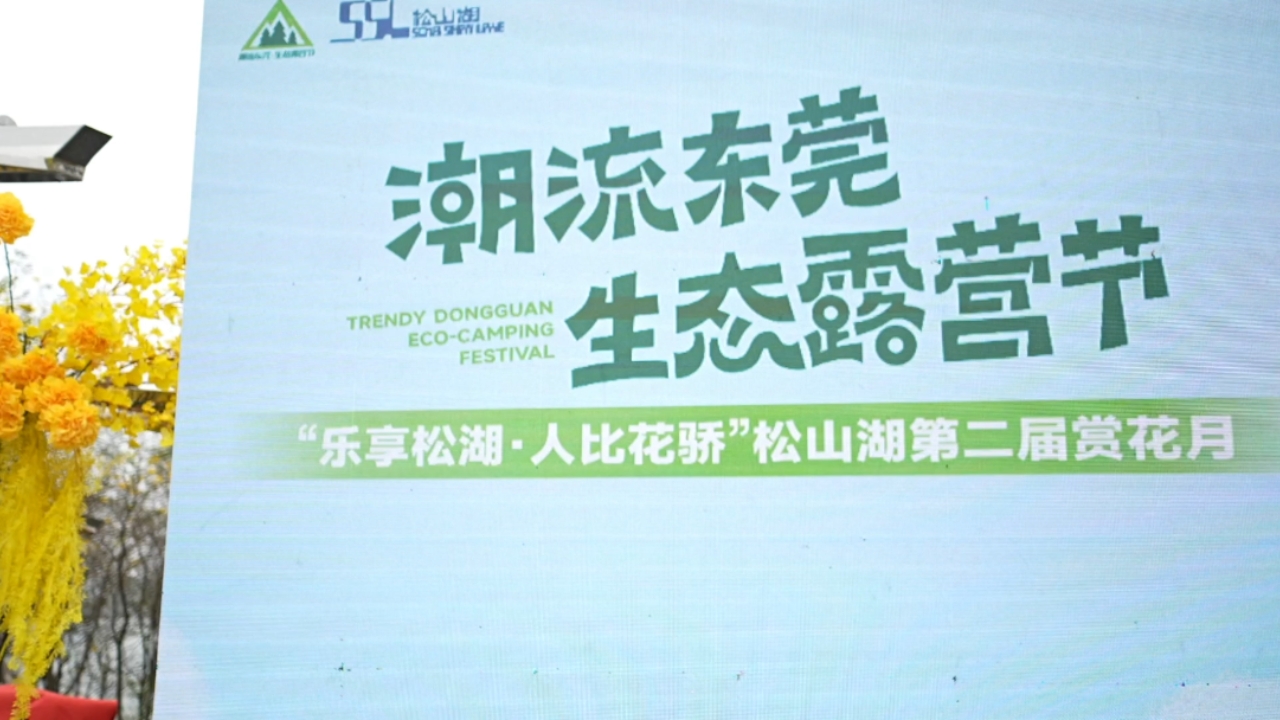 松山湖露营，最新动态与独特体验